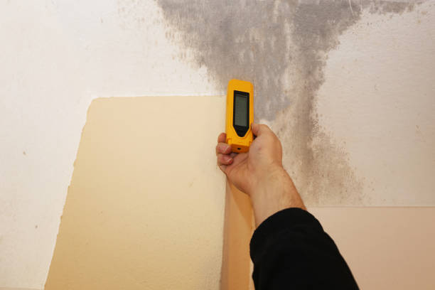 Best Post-Remediation Verification Testing  in Calverton Park, MO