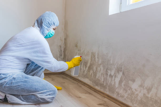 Best Post-Construction Mold Inspection  in Calverton Park, MO